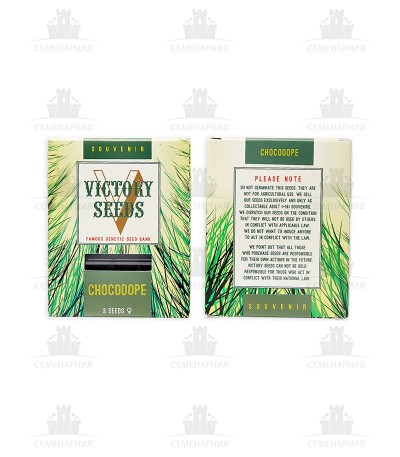 Chocodope fem (Victory Seeds) Chocodope fem (Victory Seeds) — изображение 2