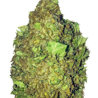 Short & Sweet Auto fem (Heavyweight Seeds) Short & Sweet Auto fem (Heavyweight Seeds)