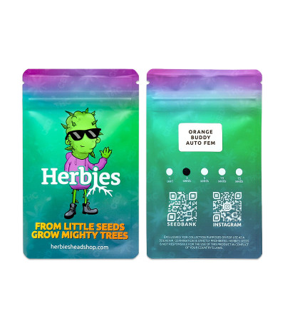 Сорт Orange Buddy Auto fem (Herbies Seeds) Сорт Orange Buddy Auto fem (Herbies Seeds) — изображение 2