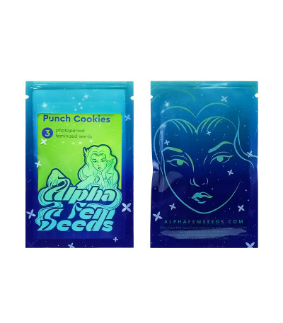 Сорт Punch Cookies fem (AlphaFem Seeds) Сорт Punch Cookies fem (AlphaFem Seeds) — изображение 2