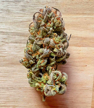 Сорт Vanilla Latte Auto fem (Humboldt Seed Company) Сорт Vanilla Latte Auto fem (Humboldt Seed Company) — изображение 4