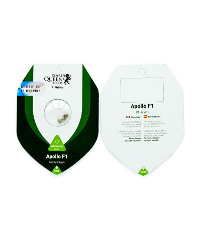 Сорт Apollo F1 Auto fem (RQS) Сорт Apollo F1 Auto fem (RQS) — изображение 2