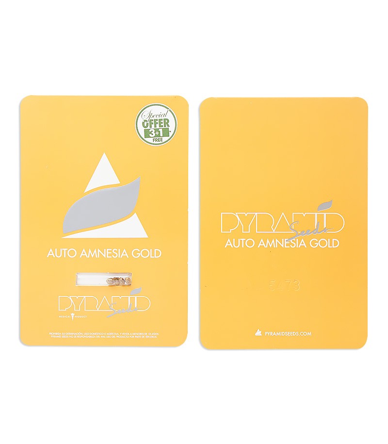 Сорт Auto Amnesia Gold fem (Pyramid Seeds) Сорт Auto Amnesia Gold fem (Pyramid Seeds) — изображение 2