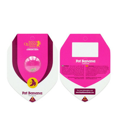 Сорт Fat Banana fem (RQS) Сорт Fat Banana fem (RQS) — изображение 2