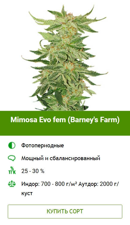 Освещение марихуаны