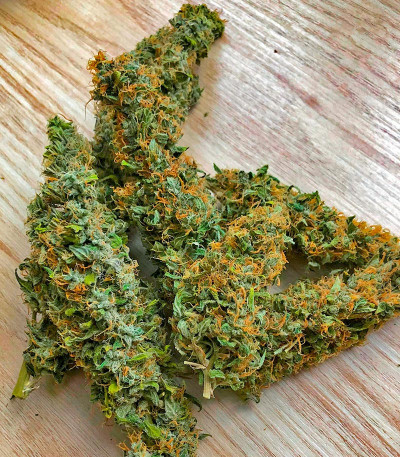 Сорт CBD Apple Betty Auto fem (Herbies Seeds) Сорт CBD Apple Betty Auto fem (Herbies Seeds) — изображение 6