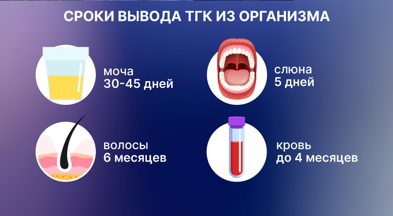 Сколько времени конопля держится в организме