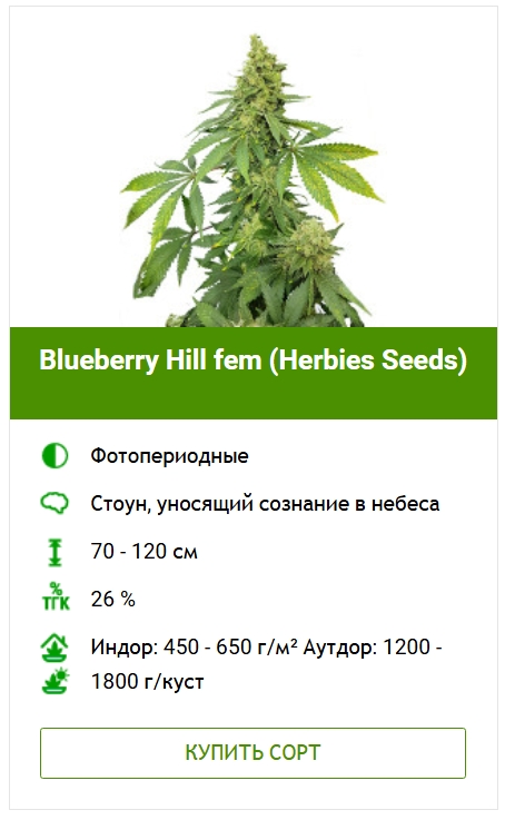 Выращивание конопли