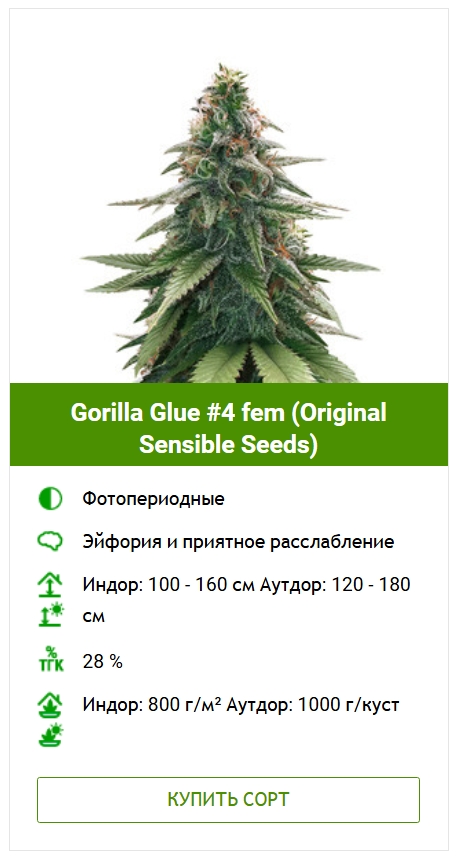 Выращивание конопли
