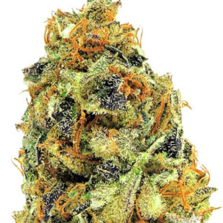 Сорт K.O. Kush fem (Heavyweight Seeds) Сорт K.O. Kush fem (Heavyweight Seeds)